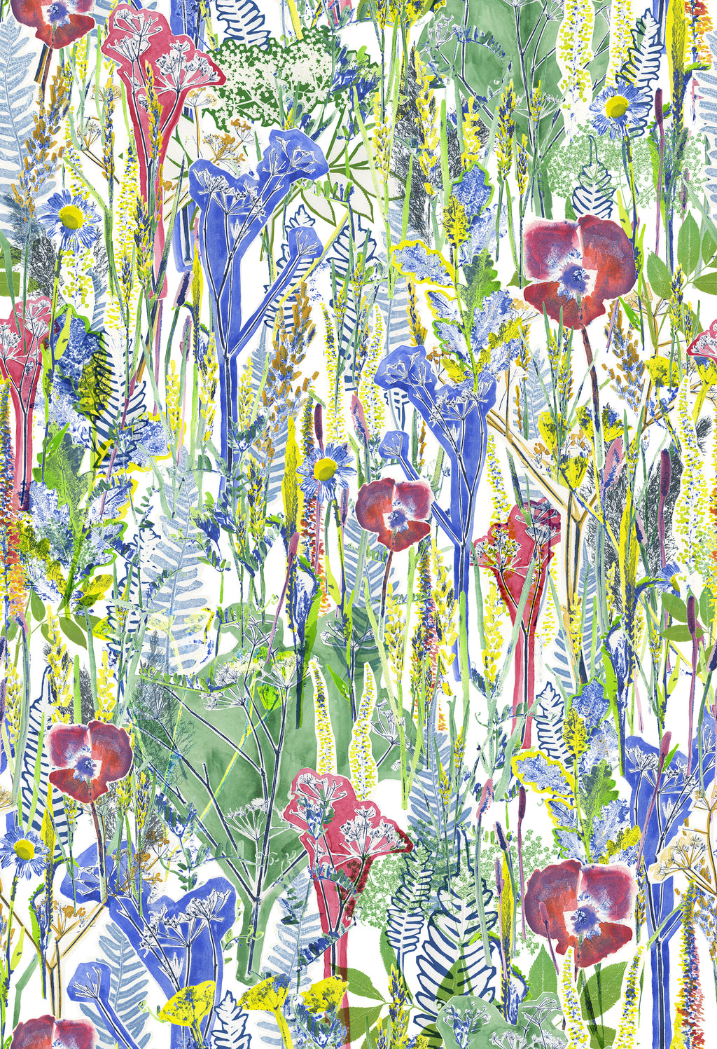 Meadow – Primary